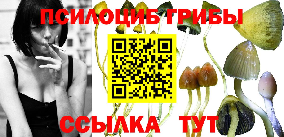 Псилоцибиновые грибы GOLDEN TEACHER  Вход с VPN  Джанкой  Псилоцибиновые грибы мухоморы 